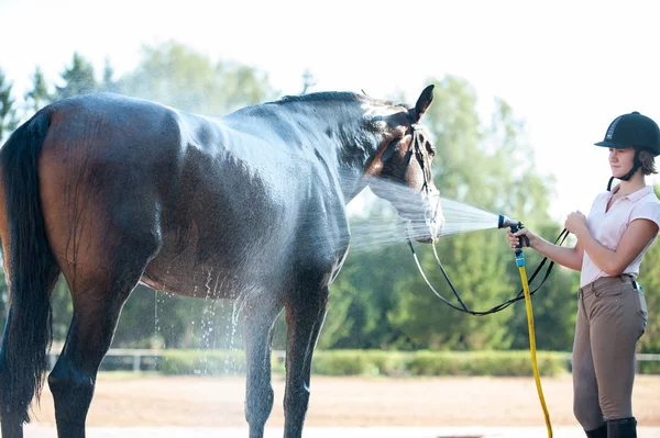 Jovem Adolescente Equestre Lavando Seu Cavalo Marrom Favorito Chuveiro Vibrante — Fotografia de Stock