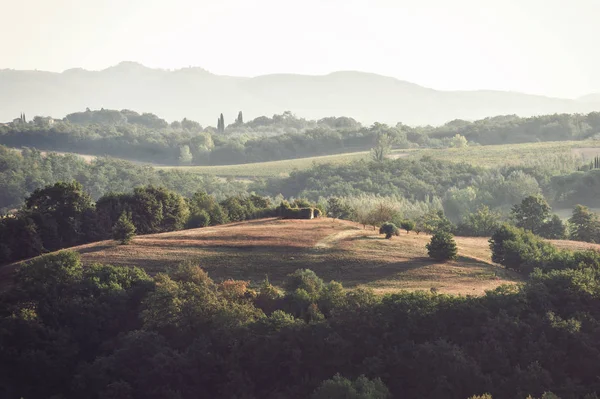 Beeindruckende Aussicht Auf Die Felder Der Toskana Frühen Morgen Farbenfrohe — Stockfoto