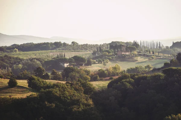 Impressive Tuscany Farm Fields View Early Morning Colorful Fall Season — Stock Photo, Image