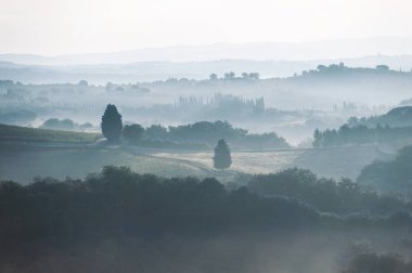 Etkileyici Tuscany sisli alanları ve vadiler sabah erken görüntüleyin. İtalyan kırsal renkli sonbahar sezonu. Dağ arka plan, İtalya. Açık havada yatay görüntü