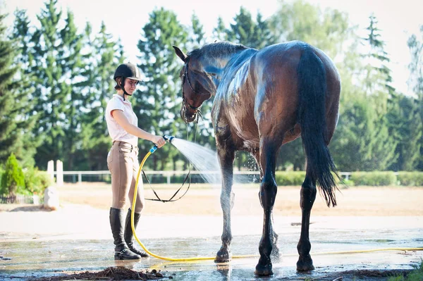 Jonge Tienermeisje Paardensport Wassen Van Haar Favoriete Bruin Paard Douche — Stockfoto