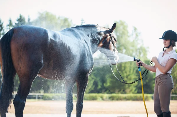 Jovem Adolescente Equestre Lavando Seu Cavalo Marrom Favorito Chuveiro Imagem — Fotografia de Stock