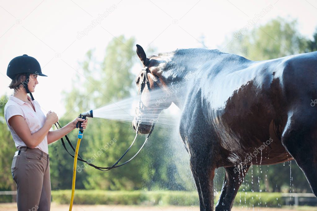 Young teenage girl equestrian washing her favorite brown horse in shower. Vibrant multicolored summertime outdoors horizontal image with filter