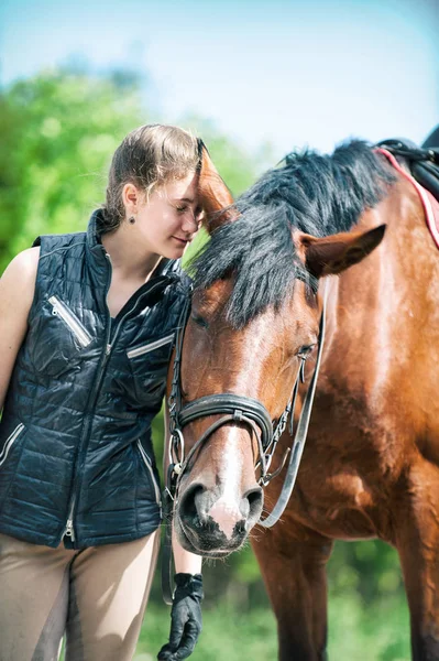 Mladá Dáma Jezdecké Stojící Blízko Její Oblíbené Ryzák Barevný Obrázek — Stock fotografie