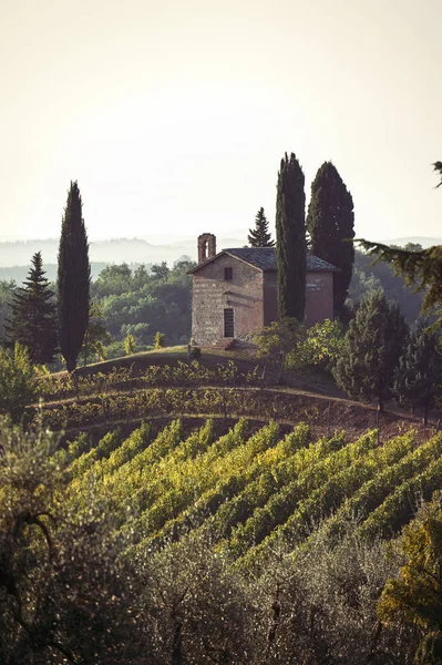 Spektakuläre Aussicht mit italienischen Weinfeldern im Herbst in der Toskana — Stockfoto