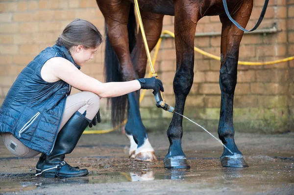 Joven adolescente ecuestre lavando pezuñas y piernas de caballo — Foto de Stock