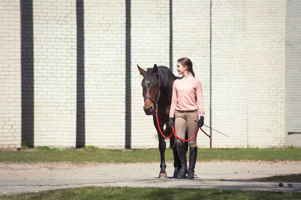 Junges Teenager-Mädchen führt braunes Pferd aus dem Training — Stockfoto