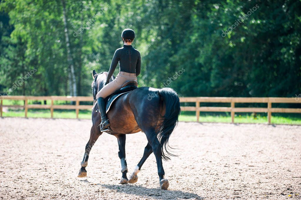 Young lady riding a horse at equestrian school. Training process