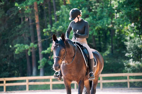 Jong mooi meisje rusten na het beoefenen van paardrijden trai — Stockfoto