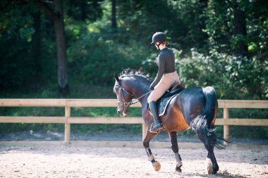 Binicilik scho pratik bir trotting ata binen genç bayan