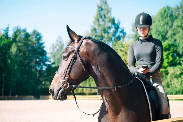 Young teenage girl typing smartphone sitting on horseback — Stock Photo, Image