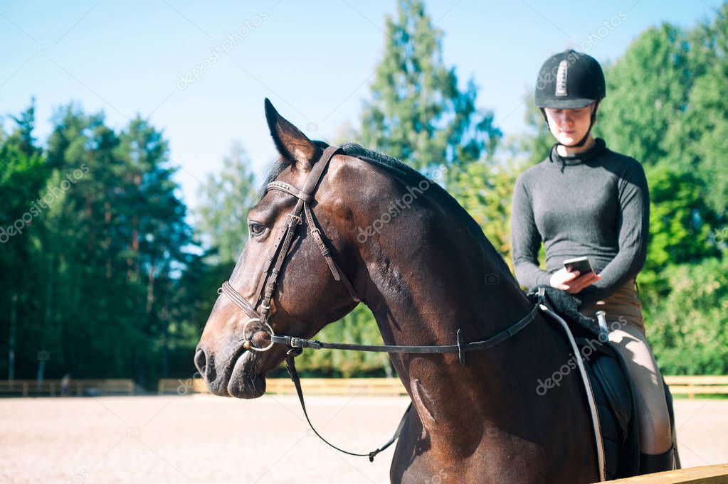 Young teenage girl typing smartphone sitting on horseback