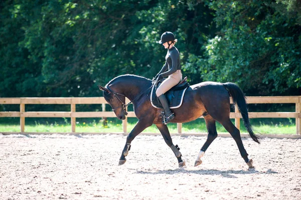 Junge Reiterin auf einem Pferd in der Reitschule. Trainingsprozess — Stockfoto