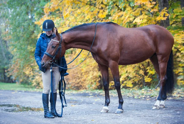 Mladá dáma na koni stojící se svým krásným kaštanem — Stock fotografie
