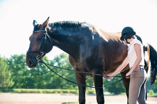 Jong Tienermeisje Ruitersport Schoonmaken Van Haar Kastanje Paard Met Borstel — Stockfoto