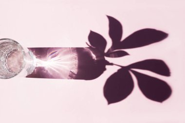 Bardakta su ve gölgeli doğal bir yaprak deseni. Pembe arkaplan, sert ışık
