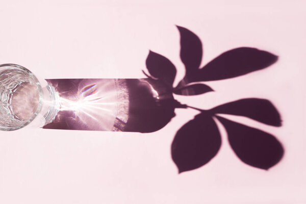 Шаблон из стакана с водой и натуральный лист с тенью. Розовый фон, жесткий свет