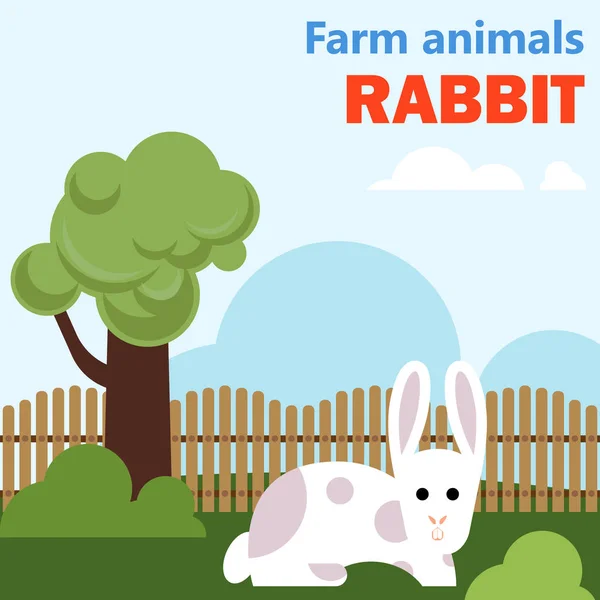 Farm animal rabbit — Stock Vector