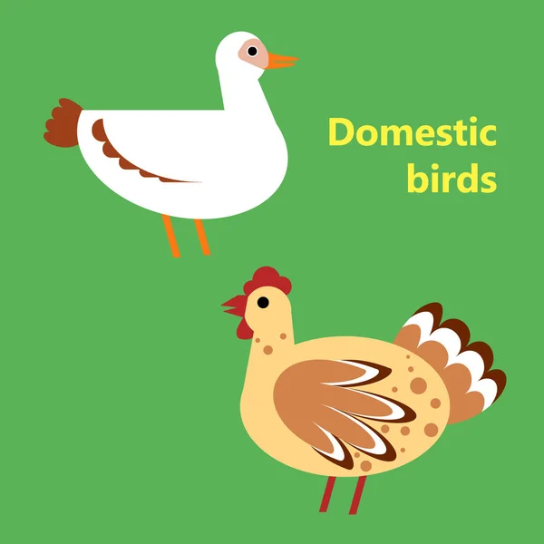 Oiseaux domestiques canard et poule — Image vectorielle