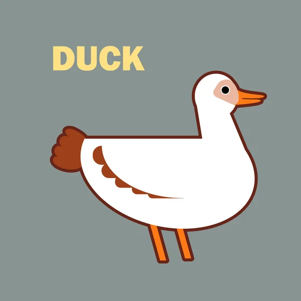 Canard oiseau domestique simple — Image vectorielle