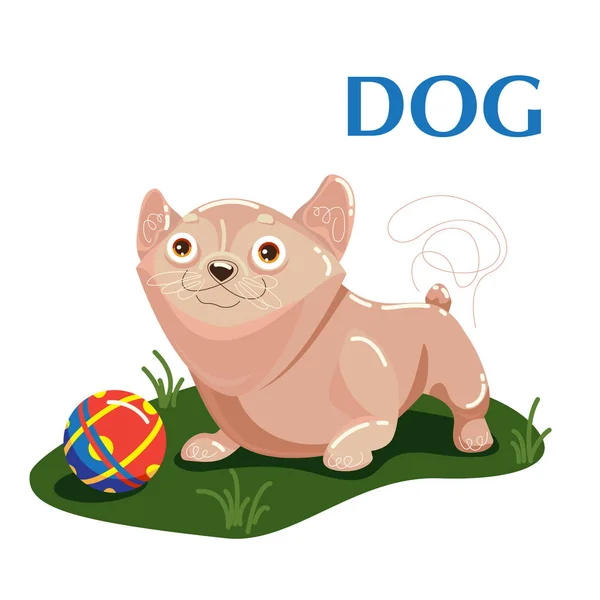 Образовательная карточка собака играет с мячом на траве — стоковый вектор