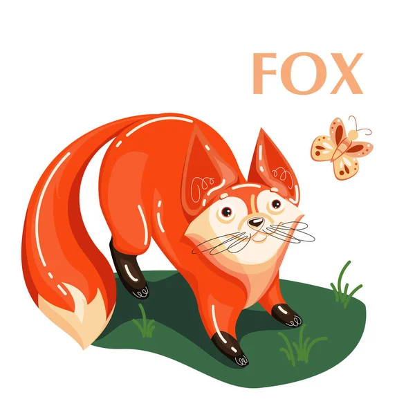 教育卡片狐狸和飞蝶 — 图库矢量图片