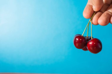 Kırmızı arka planda kirazlı kompozisyon, üst manzara. Metin için boşluk