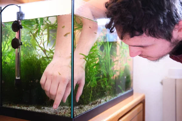 Young Caucasian Man Fitting Plants His Aquarium Cleaning Tiding Fish — Stock Photo, Image