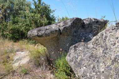 Mantar şekilli kaya. Mantar kayaları yolu (Ruta de las Piedras Seta), Madrid, İspanya.