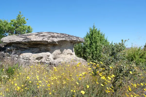 Cogumelo Forma Rocha Mushroom Rocks Path Ruta Las Piedras Seta — Fotografia de Stock