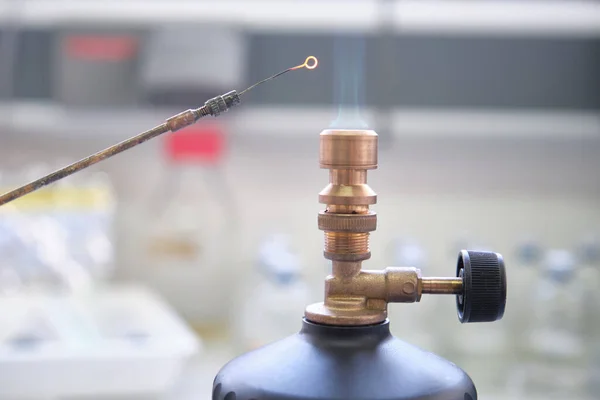 在实验室内用燃气炉火焰灭菌的接种回路的闭合 实验室工作概念 — 图库照片