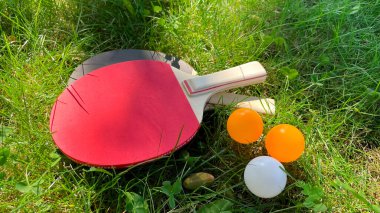 Masa tenisi raketleri ve toplar yeşil çimlerin üzerinde, açık hava eğlencesi.