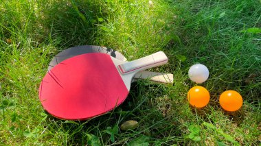 Masa tenisi raketleri ve toplar yeşil çimlerin üzerinde, açık hava eğlencesi.