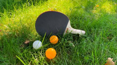 Masa tenisi raketleri ve toplar yeşil çimlerin üzerinde, açık hava eğlencesi.