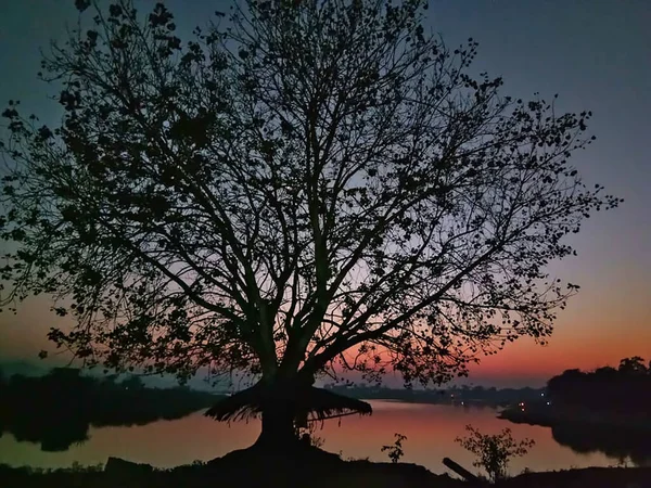 Ein Blick Auf Dramatischen Abend Mit Baum — Stockfoto