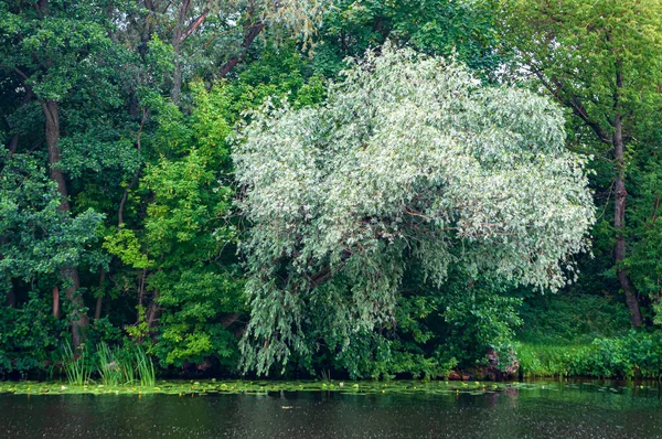 Doğanın ihtişamı orijinal formunda.
