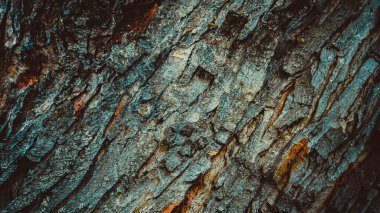 arkaplan için desenli ağaç kabuğu