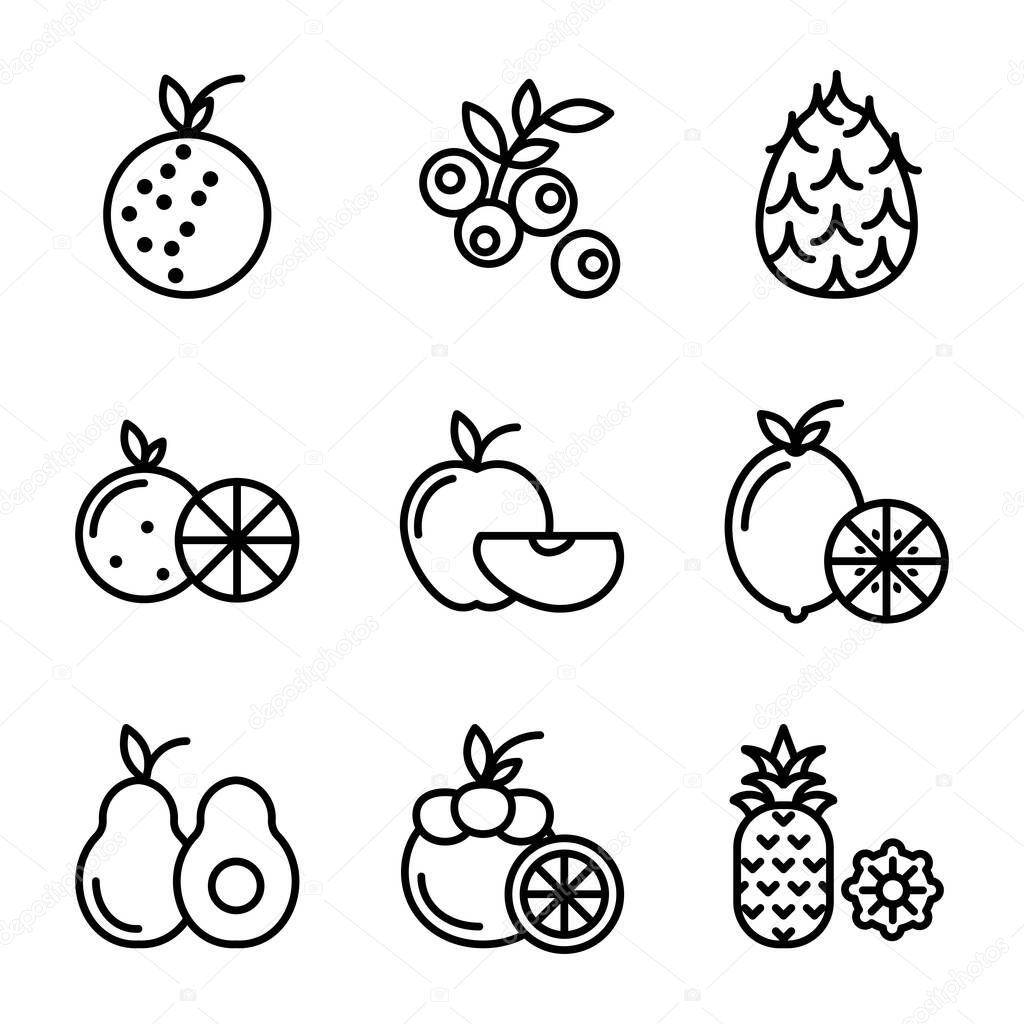 Fruit icon set include fruit, food, healthy food, lychee, blue berry, dragon fruit, orange, apple, lemon, avocado, MANGOSTEEN, pineapple, durian