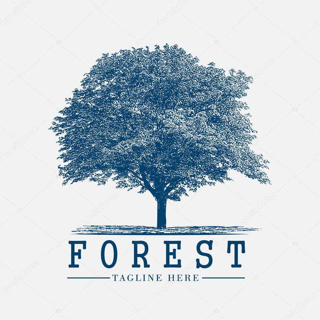 forest tree vintage logo vector, sign, nature, symbol, label, graphic, emblem, retro, design, silhouette, badge, element, outdoor, illustration, adventure, wood, travel, set, stamp, expedition