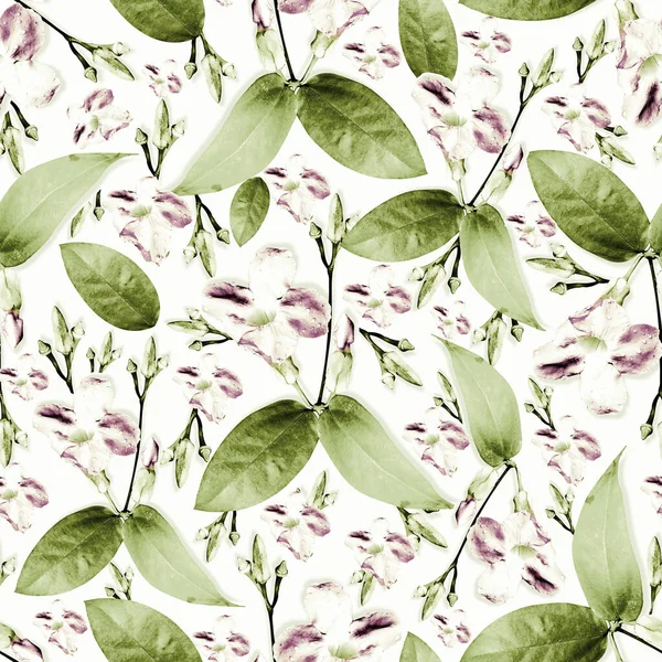 Zielony Liść Dziki Fioletowy Kolorowy Kwiat Bezszwowy Wzór — Zdjęcie stockowe