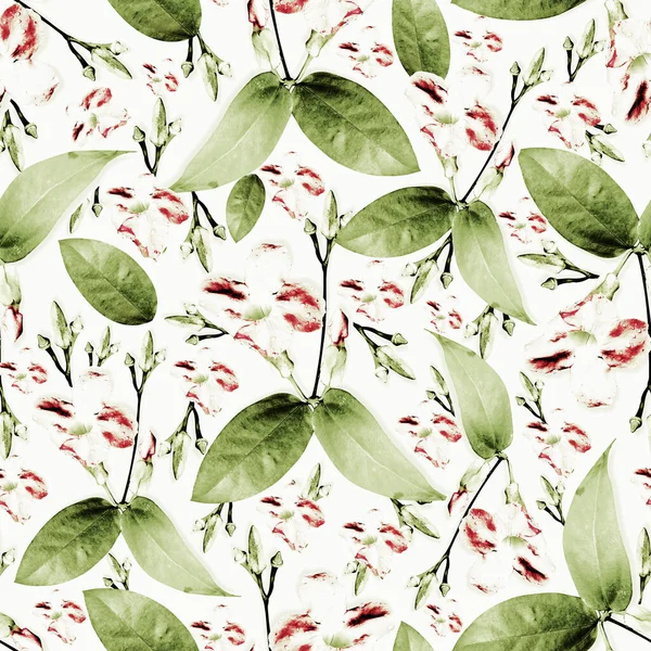 Zielony Liść Dziki Bordowy Kolorowy Kwiat Bezszwowy Wzór — Zdjęcie stockowe