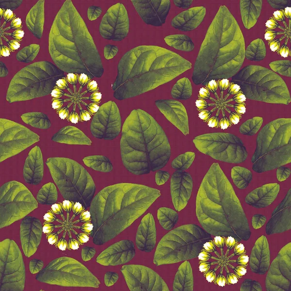 クリーム色のジャスミンの芽とグリッドの背景パターンの葉 — ストック写真