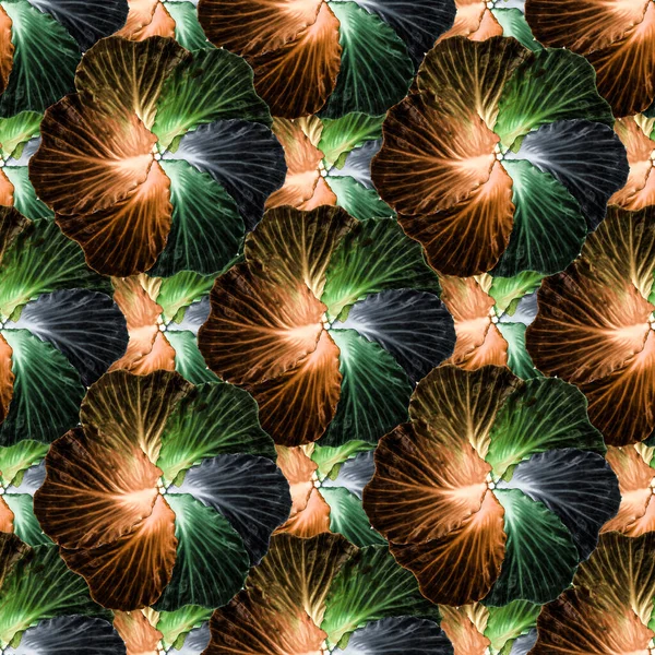 Bunte Kohlblume Nahtloses Muster — Stockfoto