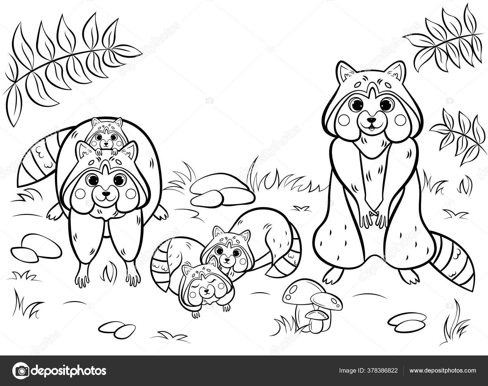 Desenhos Animados Bonito Selvagem Raposa Família Vetor Colorir Página  Esboço imagem vetorial de ElenaParshina© 349622038