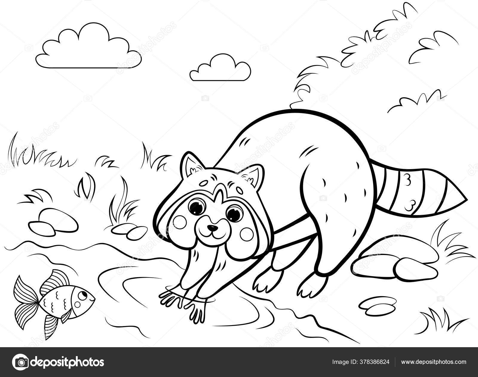 Coloring Page Outline Cute Cartoon Raccoon Rinsing Fish Vector Image Stock  Vector by ©ElenaParshina 378386824, image size:1600x1264
