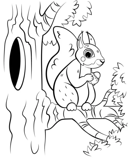 可打印的彩色页面轮廓可爱的卡通松鼠在树上与榛子 有森林背景的矢量图像 儿童森林野生动物着色书 — 图库矢量图片
