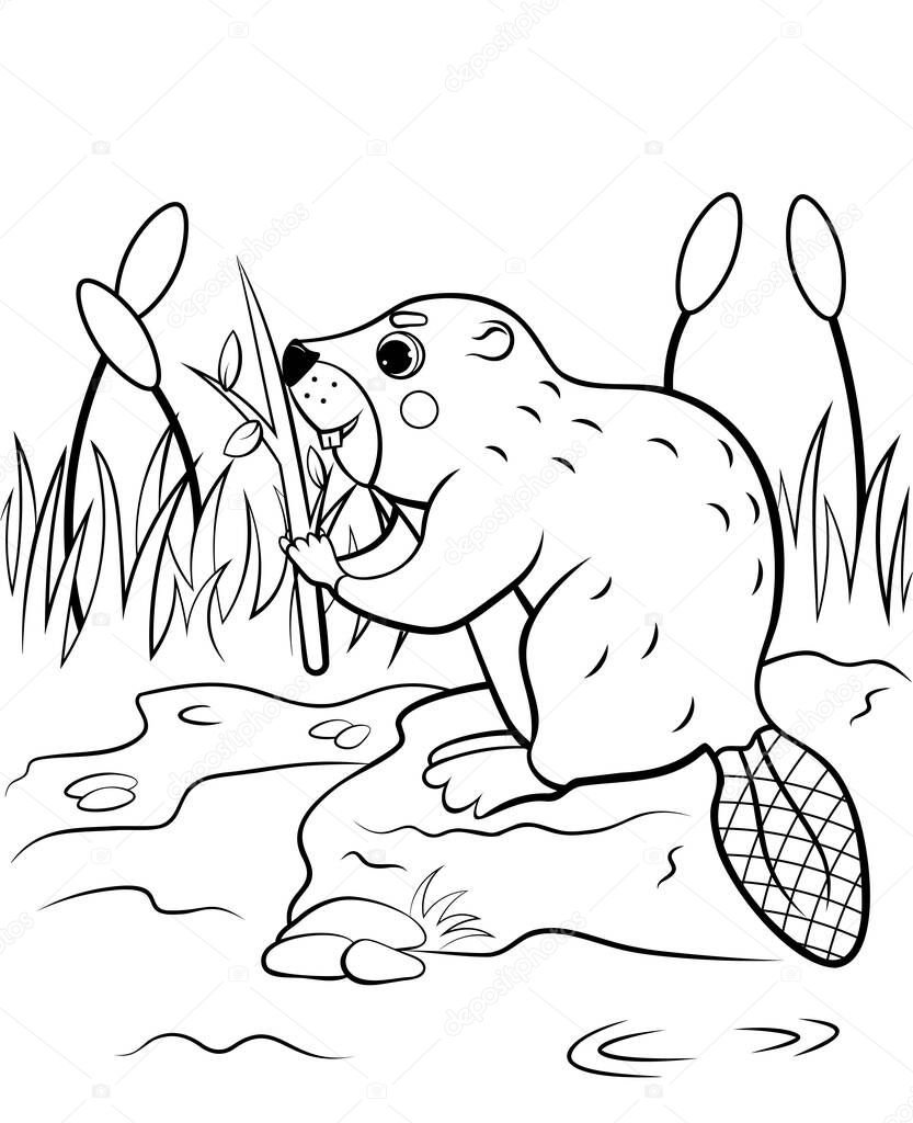 970 Underground Animals Coloring Pages  Latest
