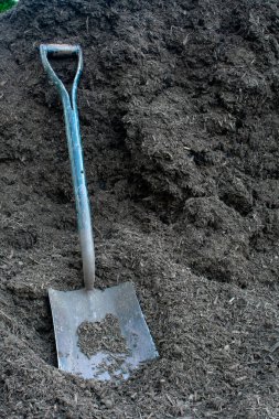 Büyük bir Kara Kare Kürek Kara Ahşap Ahşap Çamur Yığının Üzerinde Dinleniyor