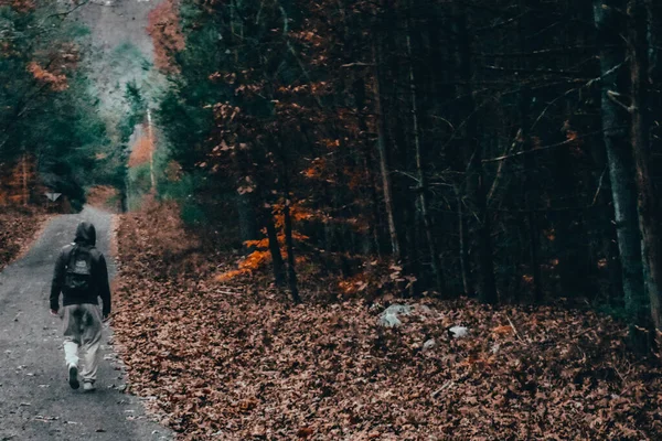 Homem Solitário Caminhando Por Caminho Pedra Uma Floresta Outono — Fotografia de Stock