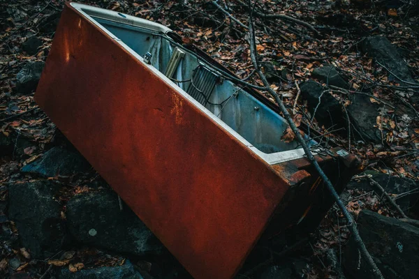 Refrigerador Vintage Oxidado Sin Puerta Olvidada Bosque — Foto de Stock